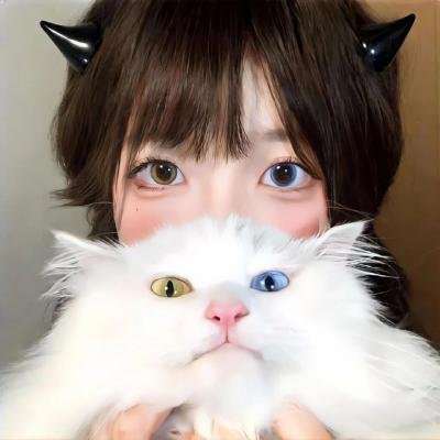 重金属囧途