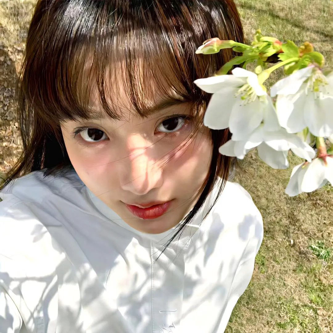 青春恋爱梦